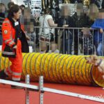 Animal 2019: Harley läuft durch den Tunnel Animal 2019: Harley läuft durch den Tunnel
