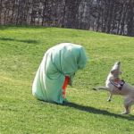 Harley zeigt eine vermummte Person an // März 2020