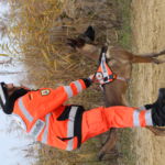 Theresa und Chilli | Training im Steinbruch Training im Steinbruch: Theresa und Chilli