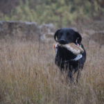 Eames | Training im Steinbruch Training im Steinbruch: Eames