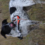 Mera | Training im Steinbruch Training im Steinbruch: Mera
