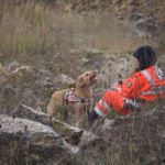 Quitte | Training im Steinbruch Training im Steinbruch: Quitte