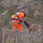 Anja und Nugget | Training im Steinbruch Training im Steinbruch: Anja und Nugget