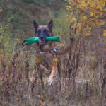 Nugget | Training im Steinbruch Training im Steinbruch: Nugget