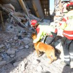 Foto: BRH / ISAR Germany