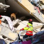 Foto: BRH / ISAR Germany