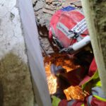 Foto: BRH / ISAR Germany