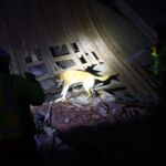 Foto: BRH / ISAR Germany